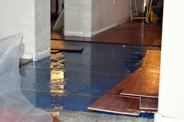 Professional Basement Flood Cleanup technician working in Wixom, MI